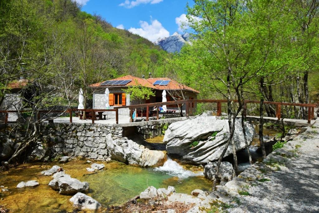 Apartmani Goga 塞利讷 外观 照片